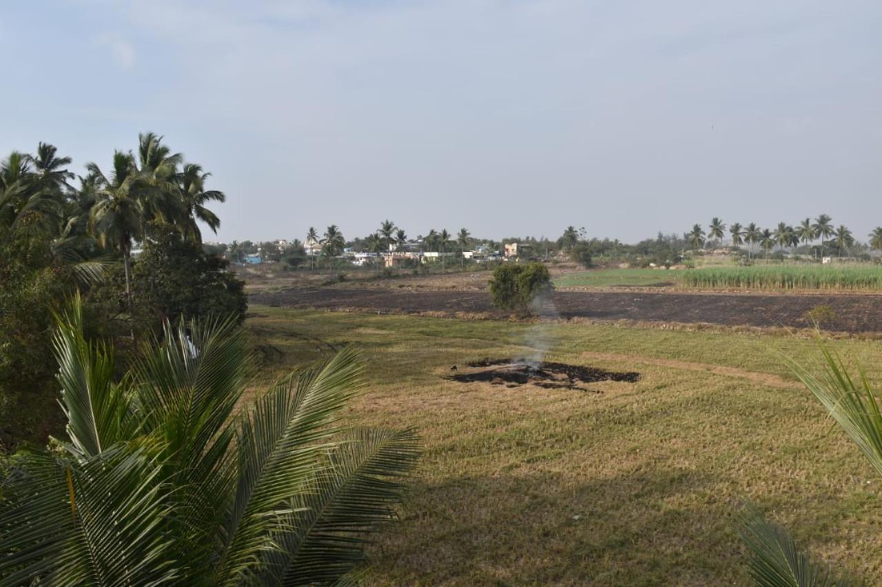 Coconut Homestay Hampi Buitenkant foto